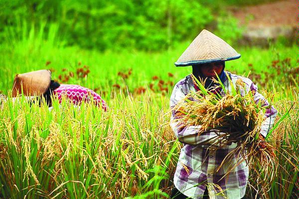 Indonesia in Focus Agriculture Minister Suswono explained 