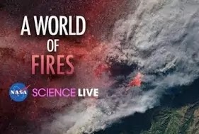 A World of Fires