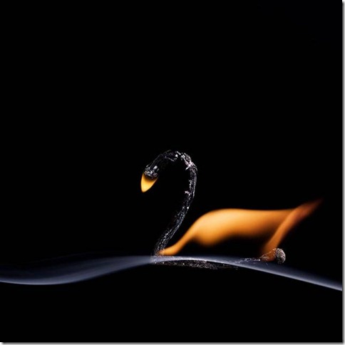 Burnt_Matchstick_Art_by_Stanislav_Aristov_013
