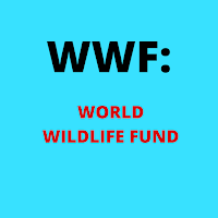 wwf full form