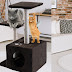 Choosing The Right Cat Tree for Your Cat