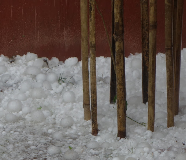 hail the size of golf balls