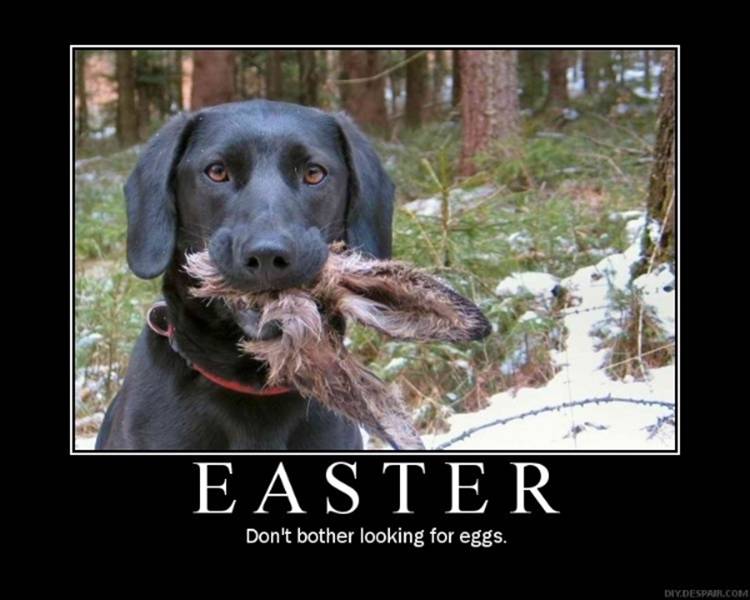 happy easter funny photos. happy easter funny photos.