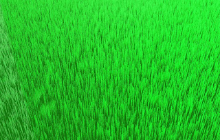 3D Green grass blender blend fbx and obj