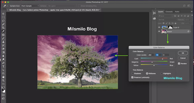 Cara seleksi objek gambar pohon di photoshop, seleksi pohon dengan photoshop, cara menyeleksi gambar dan foto di photoshop