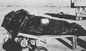 This photo from the Air Force's The Roswell Report shows one of test dummies in its insulation bag