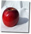 apple images