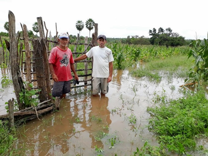 Prefeitura vistoria plantações inundadas pelas chuvas na zona rural de Cocal