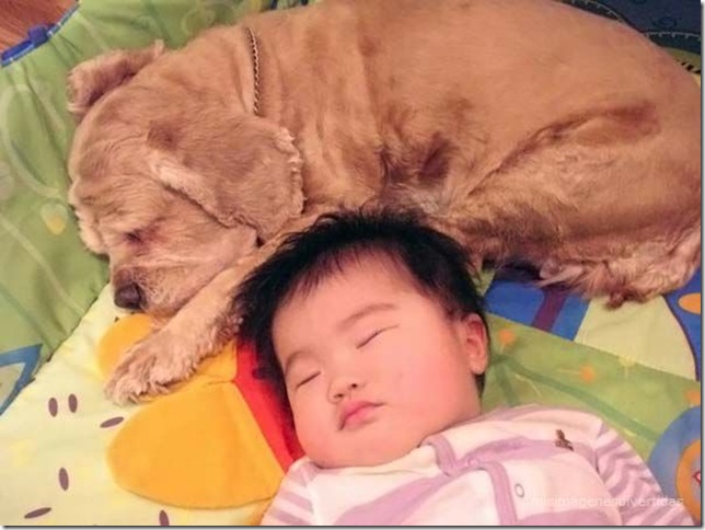 1 - niños con perros misimagenesdivertidas  (27)