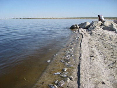 Salton Sea