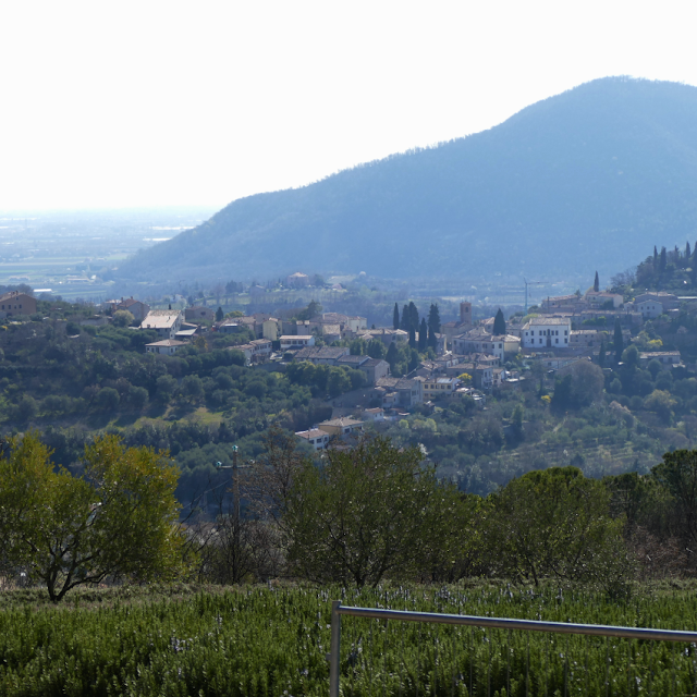 sentiero atestino 3 colli euganei