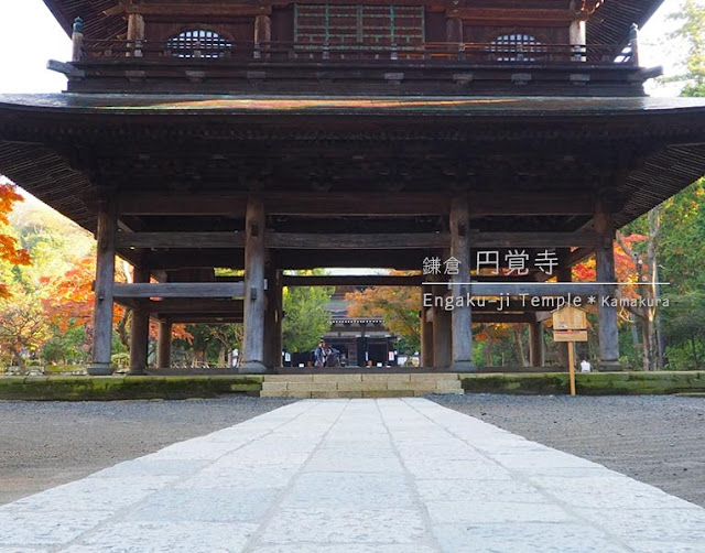 円覚寺･山門から見える紅葉