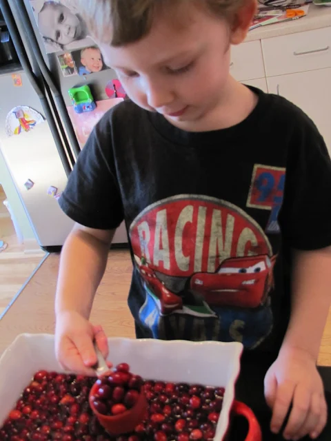 Cranberry Thanksgiving activity