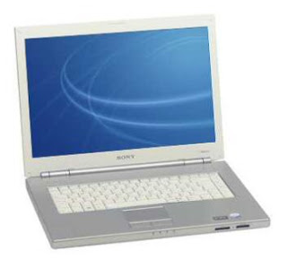 Sony VAIO N31S/W