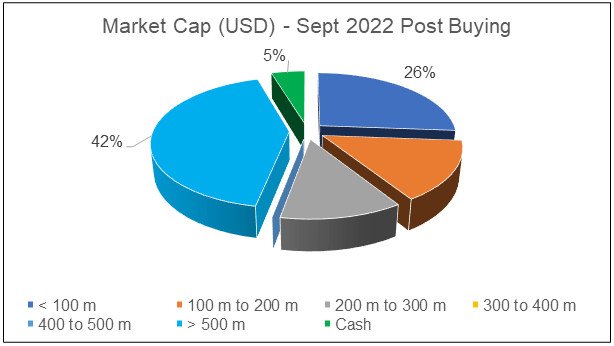 Winning stock portfolio - size profile post buying new shares