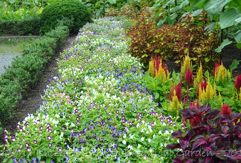 Glória Ishizaka -   Kyoto Botanical Garden 2012 - 105