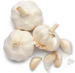 garlic bawang putih