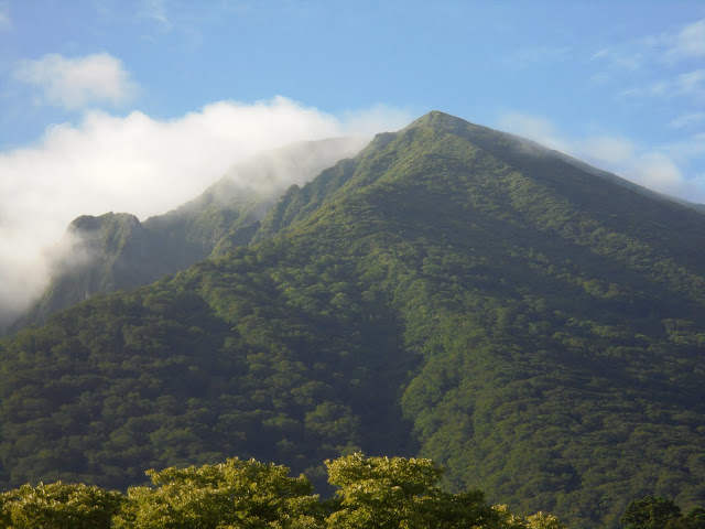 雄大な大山の眺望