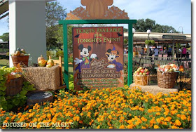 Mickey's Not So Scary Halloween, MNSSHP, Focused on the Magic