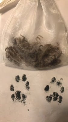 Kely's fur clipping and inked paw prints