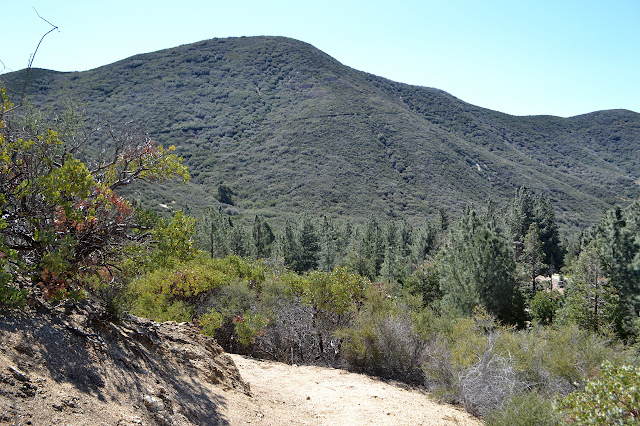 trail on the far side of the canyon