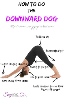 downwarddog