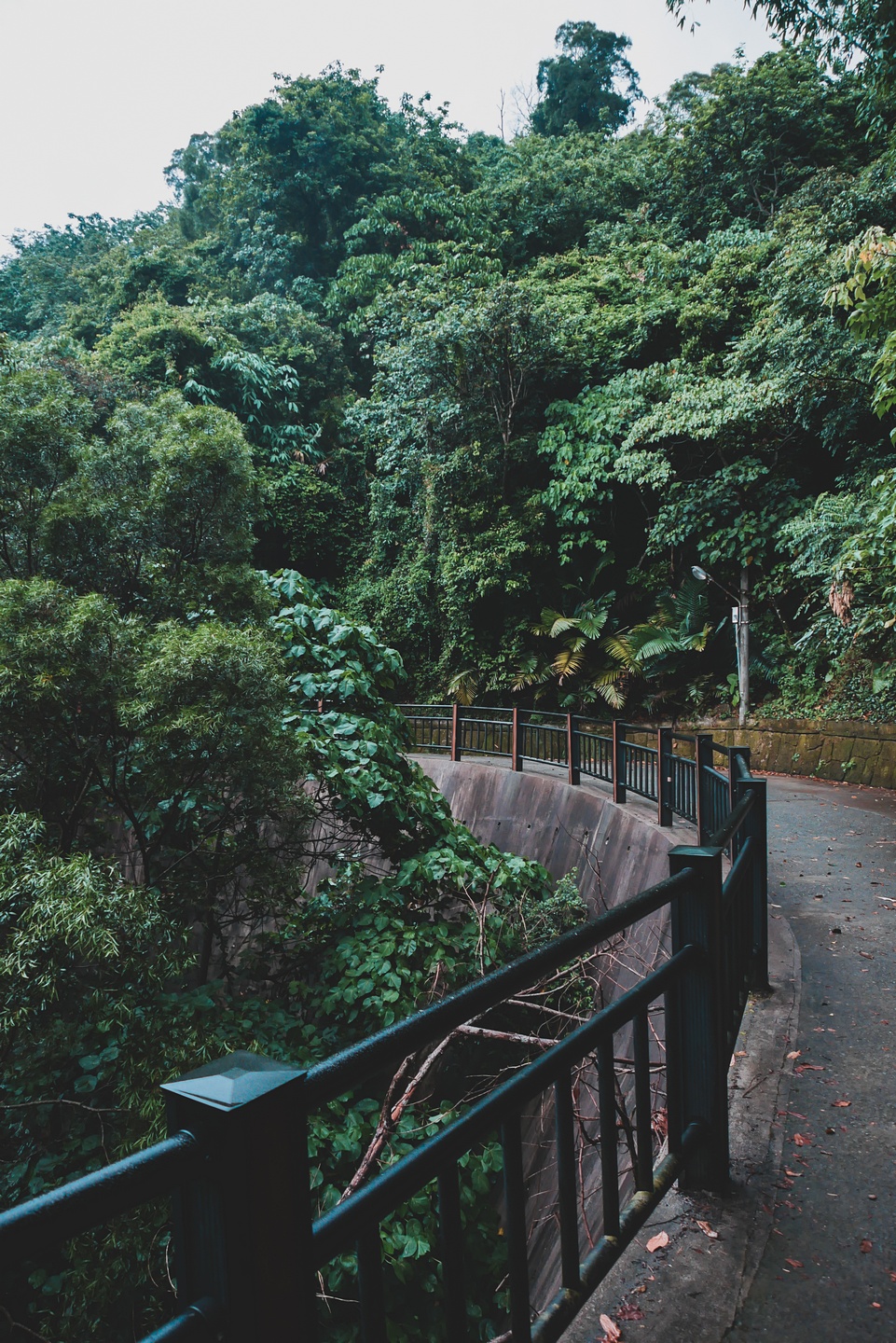 大坑登山步道