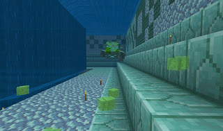 Found in Drowned !!