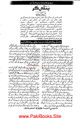 Putli gar novel pdf by Amjad Javed