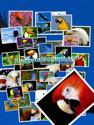 Coveroid Wallpapers HD wallpapers hd. Coveroid Wallpapers HD