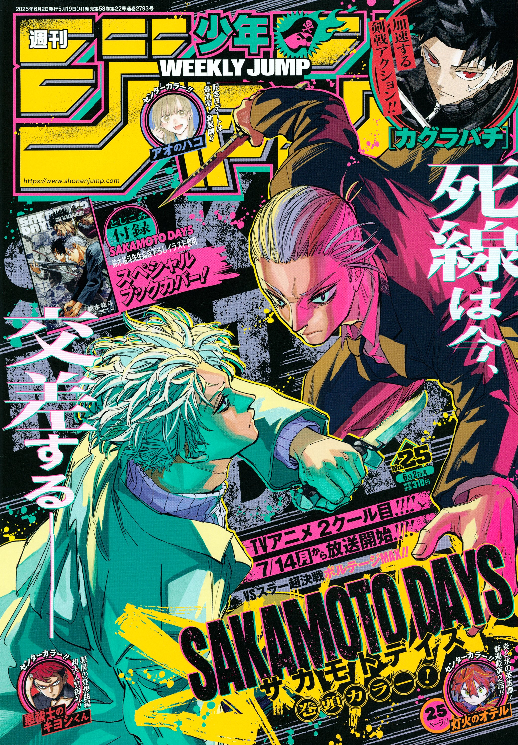 週刊少年ジャンプ 2025年25号