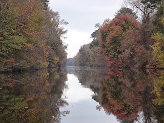 Adventure Kayak Tours: Kayak Camping Lake Drummond 