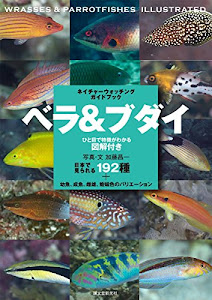 ベラ&ブダイ: 日本で見られる192種+幼魚、成魚、雌雄、婚姻色のバリエーション (ネイチャーウォッチングガイドブック)