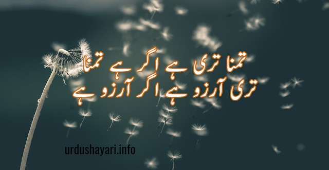 Aarzoo Shayari  In Urdu - 2 line aarzoo poetry in urdu for whatsapp status