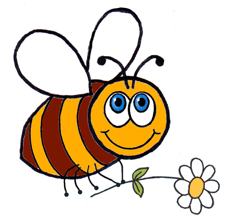 kumpulan gambar  animasi  dan  lebah menarik  gambar  lucu 