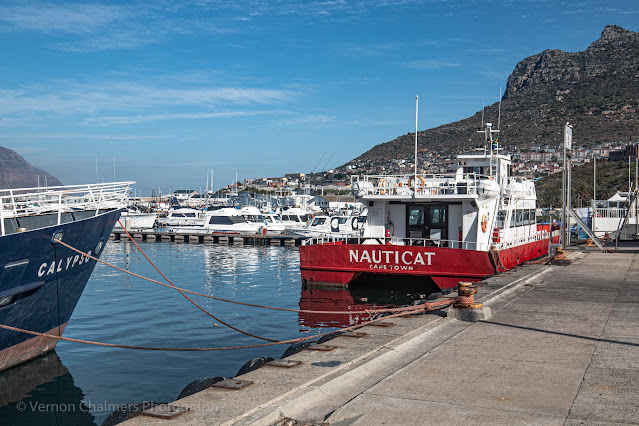 Sightseeing Vessel, NAUTICAT, moored in Hout Bay Harbour Cape Town