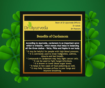 Benefits of cardamom by Dr Ayurveda