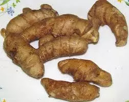 Manfaat Ramuan Temulawak Untuk Kesehatan dan Obat Manfaat Ramuan Temulawak Untuk Kesehatan dan Obat 