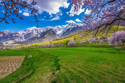 Unexplored Beauty In Gilgit Baltistan, Chunda Valley