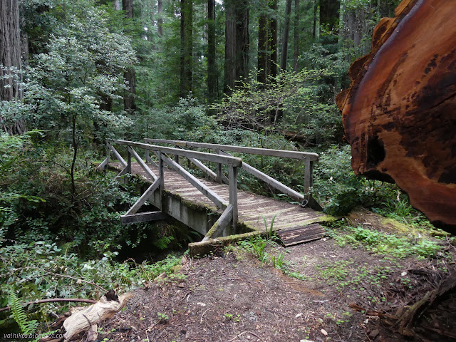 213: bridge beside big log cut