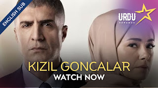 Kizil Goncalar 2023 [Turkish Drama] in English Subtitles
