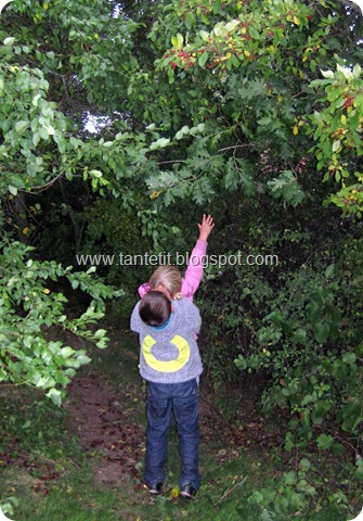 www.tantetit.blogspot.com