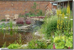 ws wildlife pond