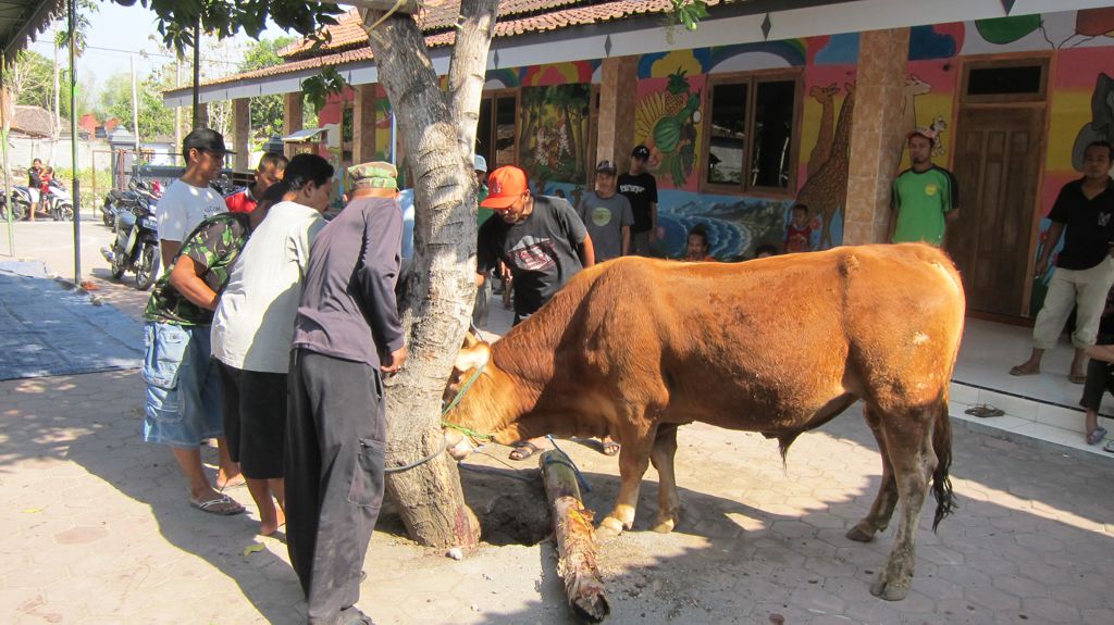 Selamat Hari Raya Idul Adha 1436 H Menyembelih hewan kurban