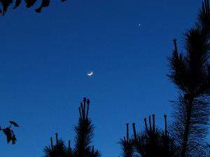 Bulan dan Venus Tampil Berbentuk Sabit