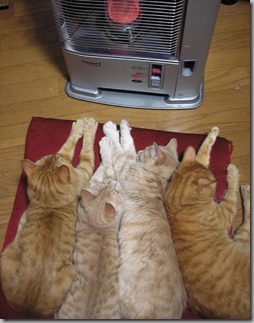 How to tell it is winter p9