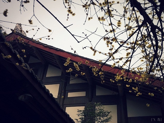 20110207_0004