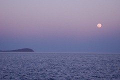 DSC07583