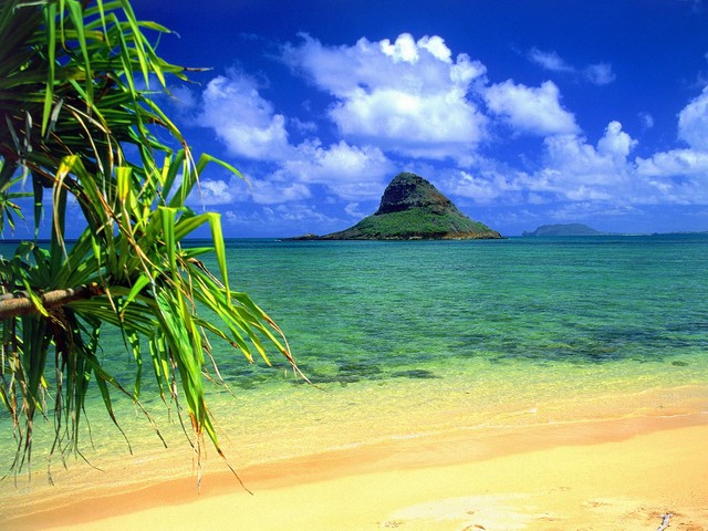 hawaii picture wallpaper. Honolulu Hawaii wallpaper. Postado por Mr free às 10:42 PM