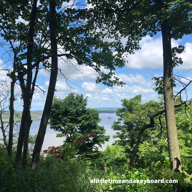 The Mississippi River peeking in from beyond the trees at Mississippi Palisades State Park